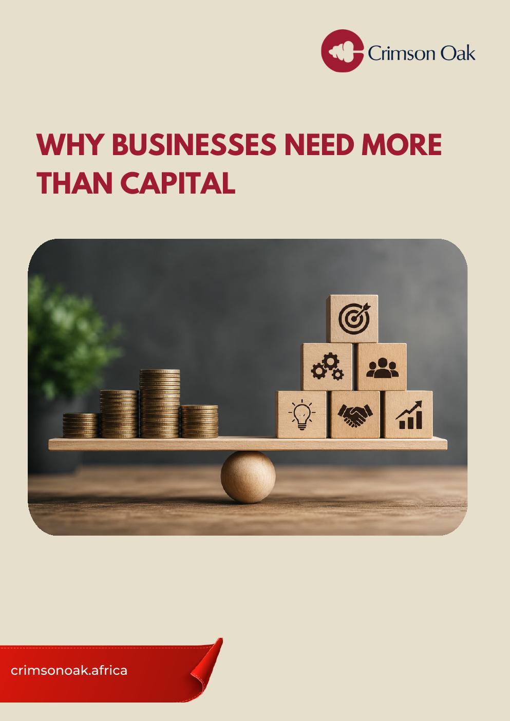 Why Businesses Need More Than Capital