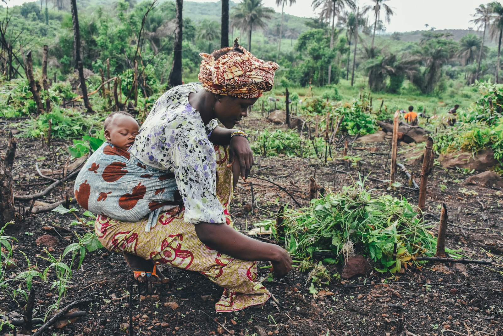 Agriculture